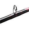 Penn Rampage Boat Casting Fishing Rod(6′ – H – 30-80lb – 1pc)