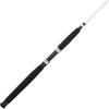 Berkley Big Game Spinning Fishing Rod(Spinning Rod)