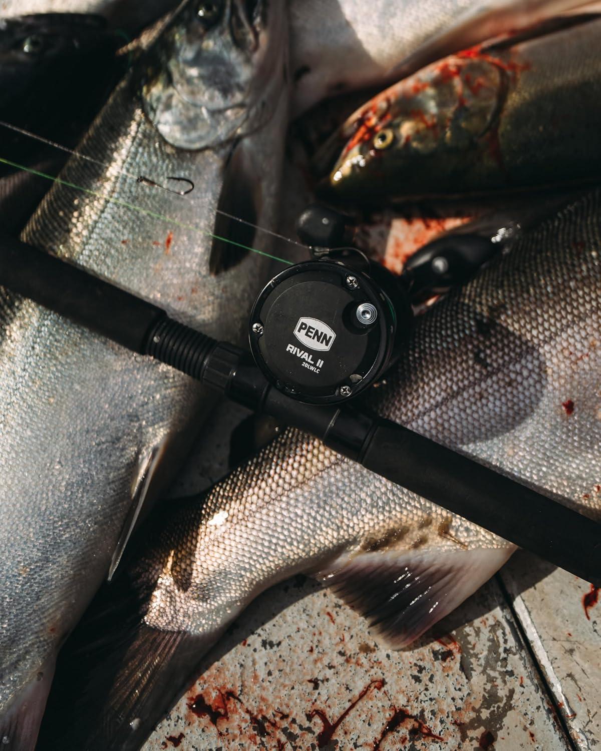 image:imagePENN Rival Level Wind Conventional Fishing ReelNew Model