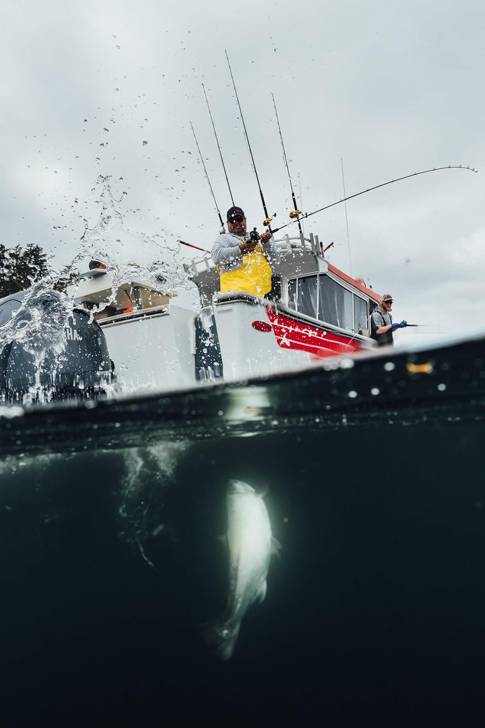 image:imagePENN Rival Level Wind Conventional Fishing ReelNew Model