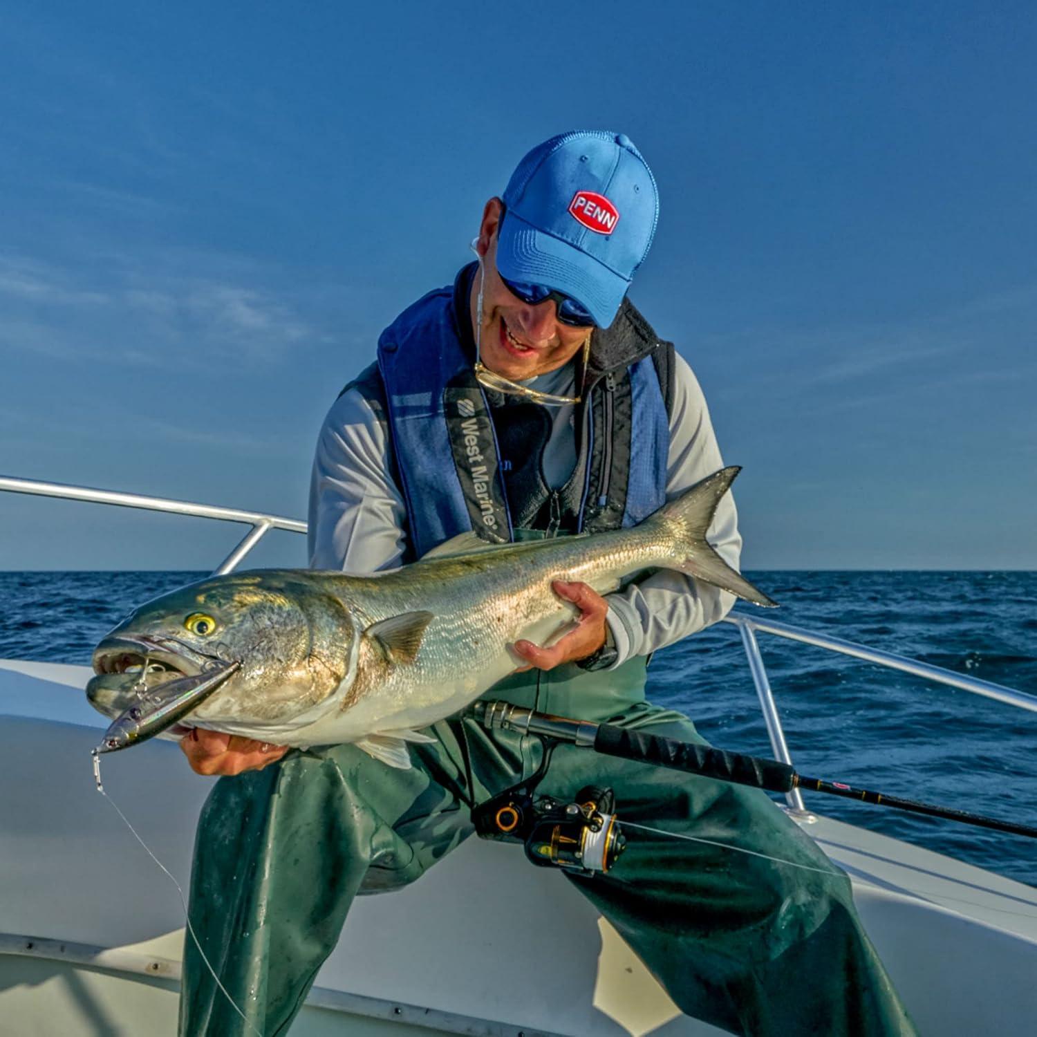 image:imagePENN Rival Level Wind Conventional Fishing ReelOld Model