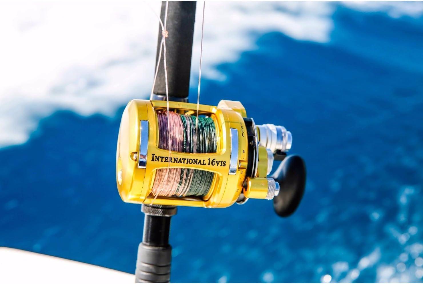 image:imagePenn International VI Conventional Fishing Reels All Models amp SizesSilver