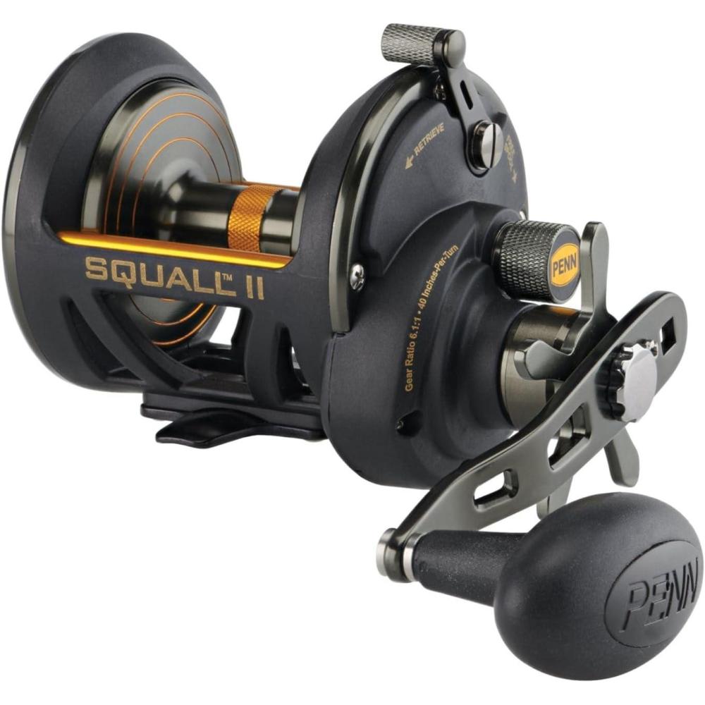 image:imagePENN Squall II Star Drag Conventional Fishing ReelSQLII30SDLH