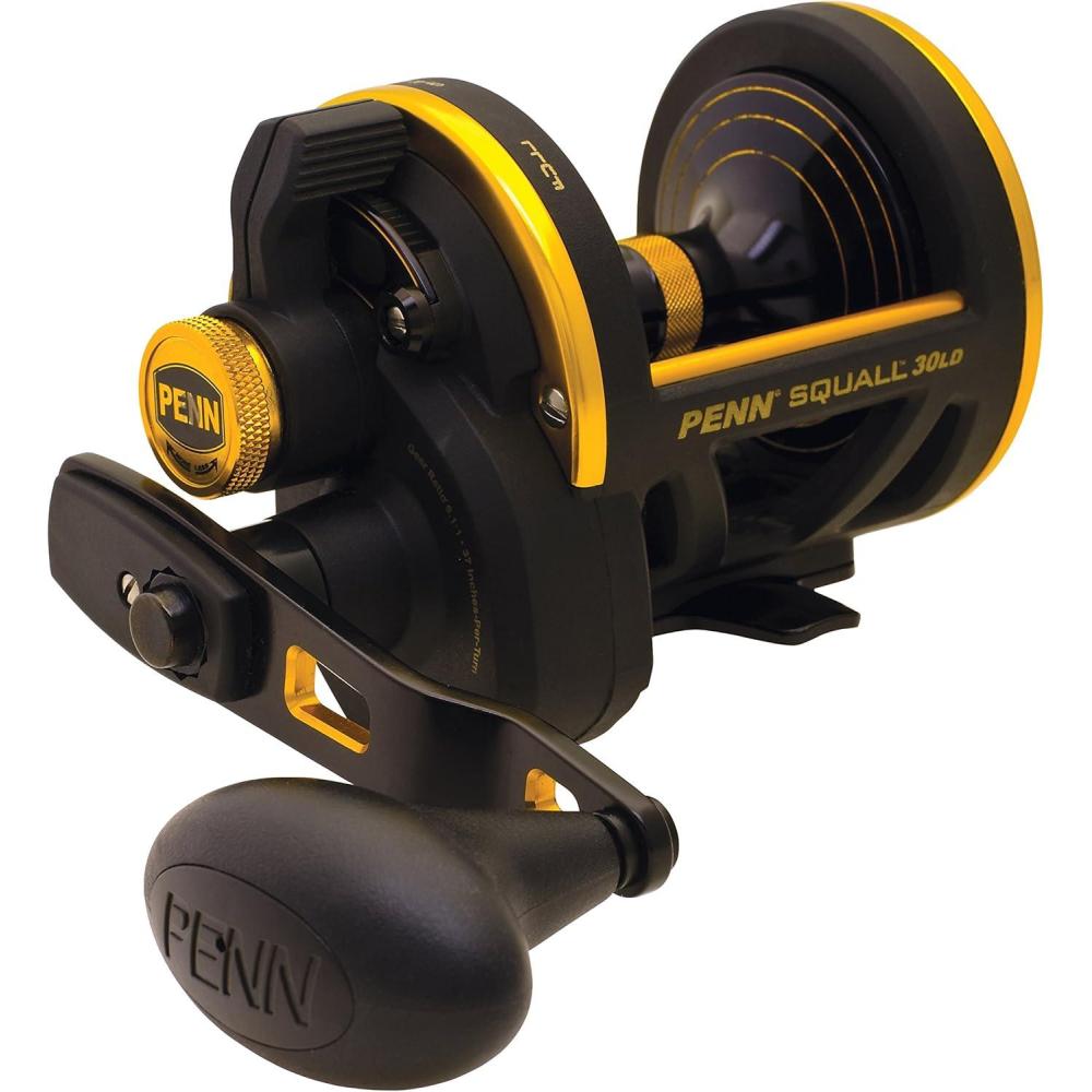 image:imagePenn Squall Lever Drag Conventional Fishing Reel
