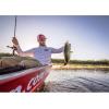 Abu Garcia Ambassadeur SX Baitcast Fishing Reel(Ambsx-6601 (Left Hand))