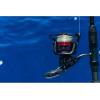 Penn Fierce III Spinning Inshore Fishing Reel, Size 2000, Right/Left Handle Position, 5 Bearings for Smooth Operation(Fierce Iii)