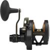 Penn Fishing Penn Fathom Lever Drag 2 Speed Conventional Fishing Reel, Black Gold, 15XN (FTH15XNLD2)