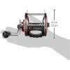Penn Special Senator Star Drag Conventional Fishing Reel(113h2sp)