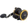 Penn Squall Lever Drag Conventional Fishing Reel
