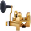 Penn Torque Lever Drag 2 Speed Conventional Fishing Reel(Gold)