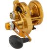 Penn Torque Lever Drag 2 Speed Conventional Fishing Reel(Gold)
