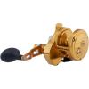 Penn Torque Lever Drag 2 Speed Conventional Fishing Reel(Gold)
