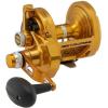 Penn Torque Lever Drag 2 Speed Conventional Fishing Reel(Silver)