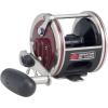 Penn Special Senator Star Drag Conventional Fishing Reel(113h2lw)