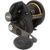 Penn Squall II Level Wind Conventional Fishing Reel(New Model)