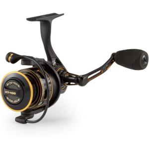 Penn Clash & Clash II Spinning Fishing Reel