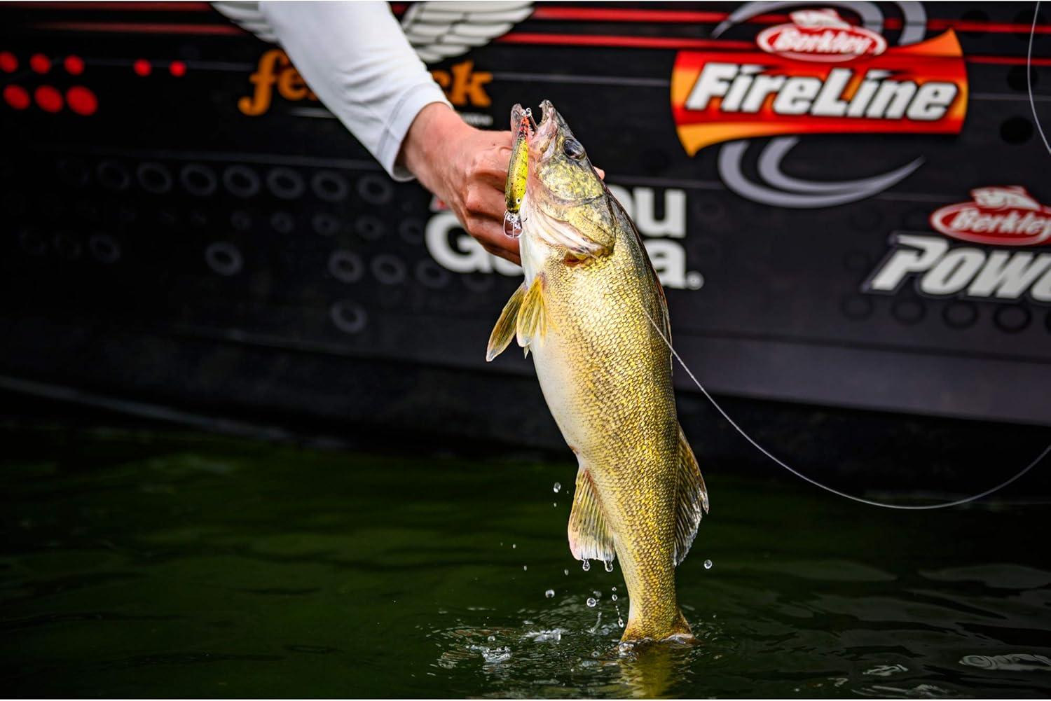 image:imageBerkley FFSHHD Bluegill