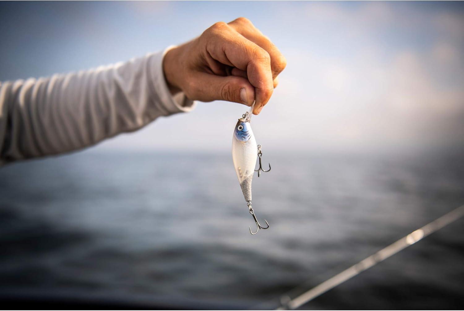 image:imageBerkley FFSHHD Bluegill