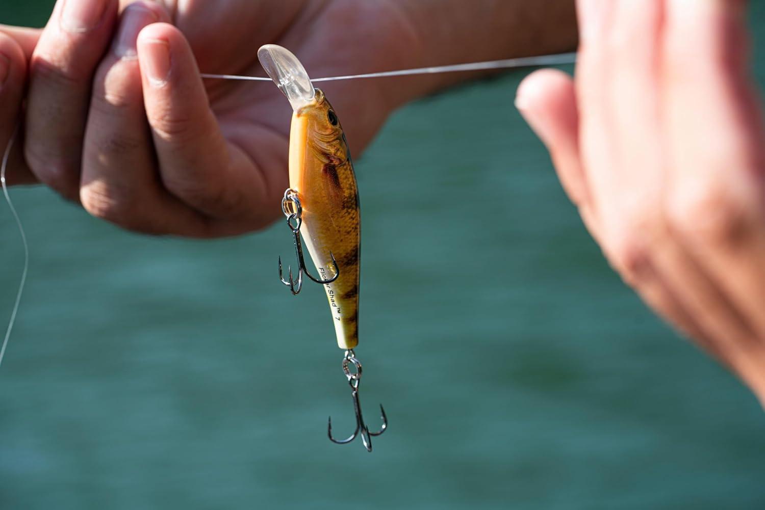 image:imageBerkley FFSHHD Bluegill