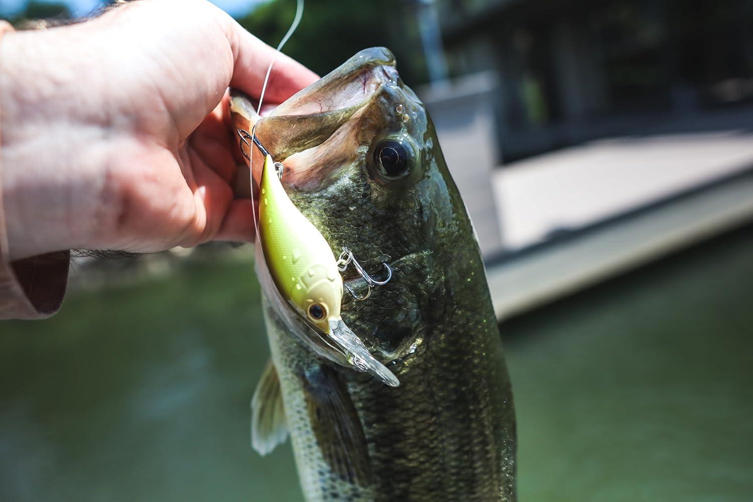image:imageBerkley Frittside Fishing Hard BaitCrankbait Haul of Fame Kit