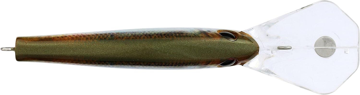 image:imageBerkley Frittside Fishing Hard BaitHD Blueback Herring