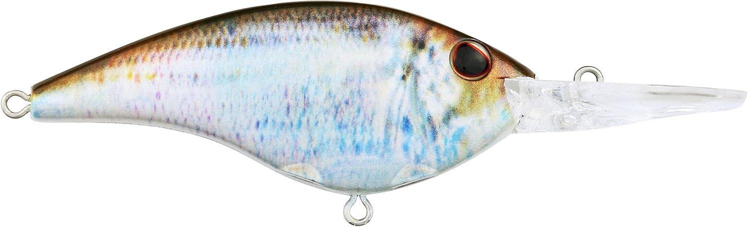 image:imageBerkley Frittside Fishing Hard BaitHD Blueback Herring