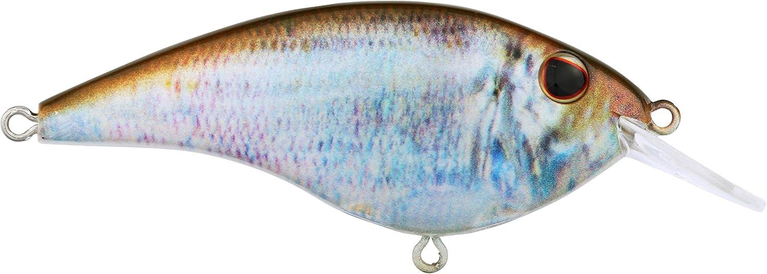 image:imageBerkley Frittside Fishing Hard BaitHD Blueback Herring