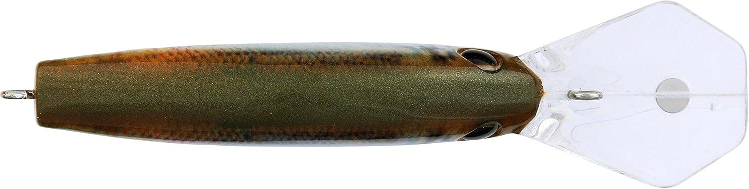 image:imageBerkley Frittside Fishing Hard BaitHD Blueback Herring