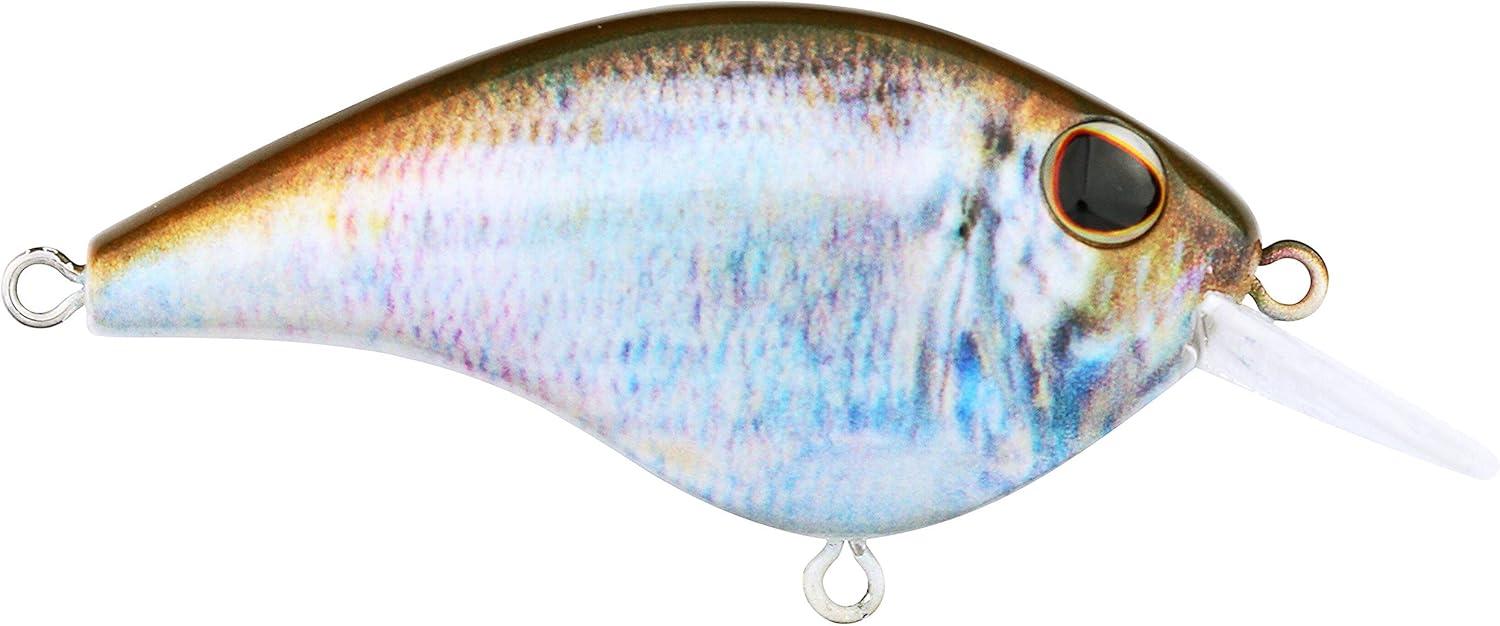 image:imageBerkley Frittside Fishing Hard BaitHD Blueback Herring