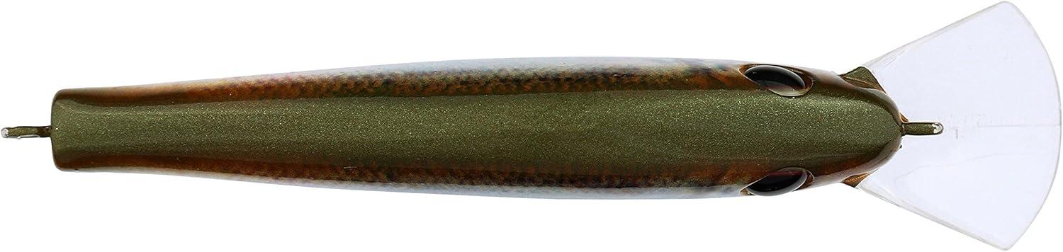 image:imageBerkley Frittside Fishing Hard BaitHD Blueback Herring