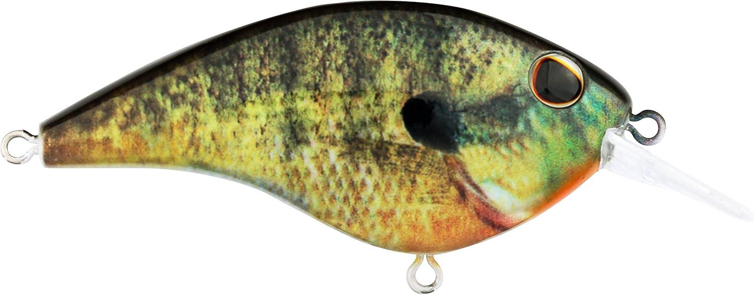 image:imageBerkley Frittside Fishing Hard BaitHD Bluegill