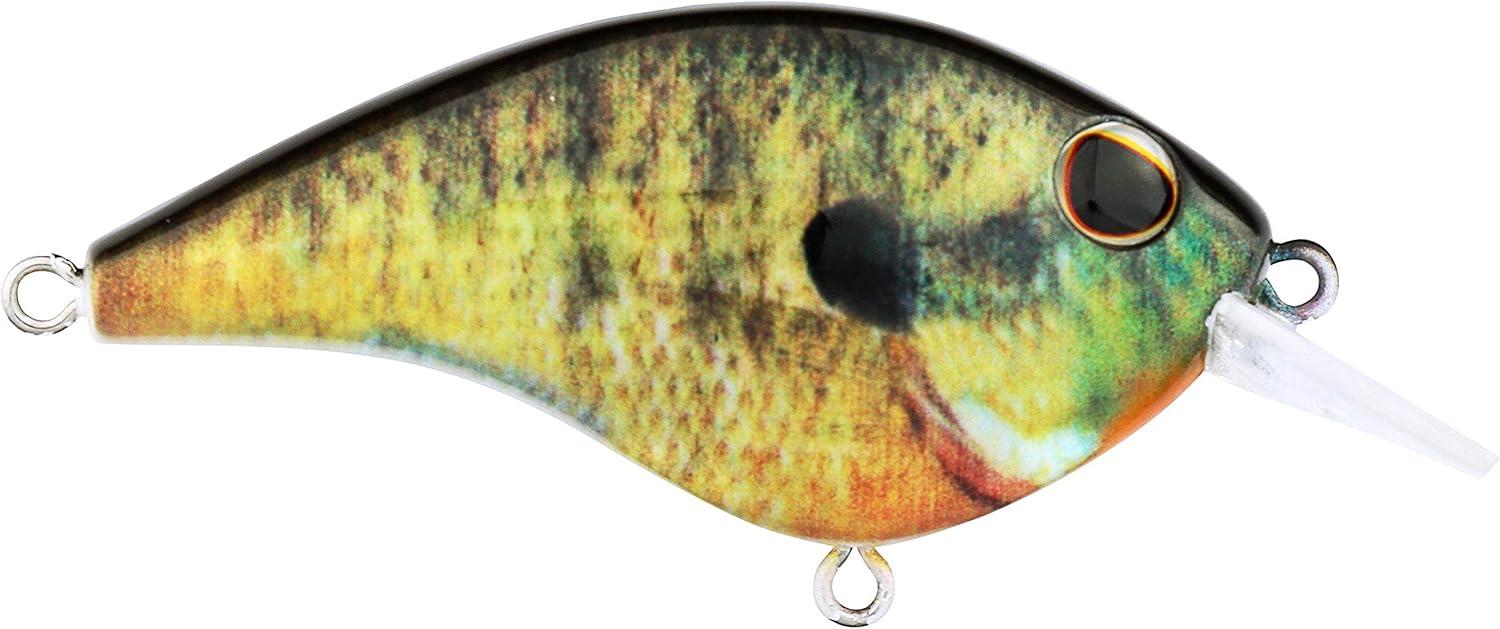 image:imageBerkley Frittside Fishing Hard BaitHD Bluegill