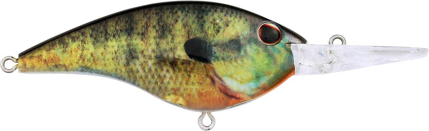 image:imageBerkley Frittside Fishing Hard BaitHD Bluegill