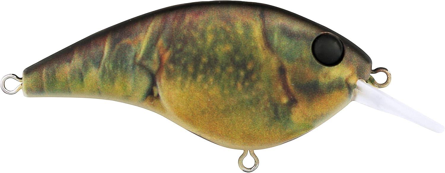 image:imageBerkley Frittside Fishing Hard BaitHD Green Craw