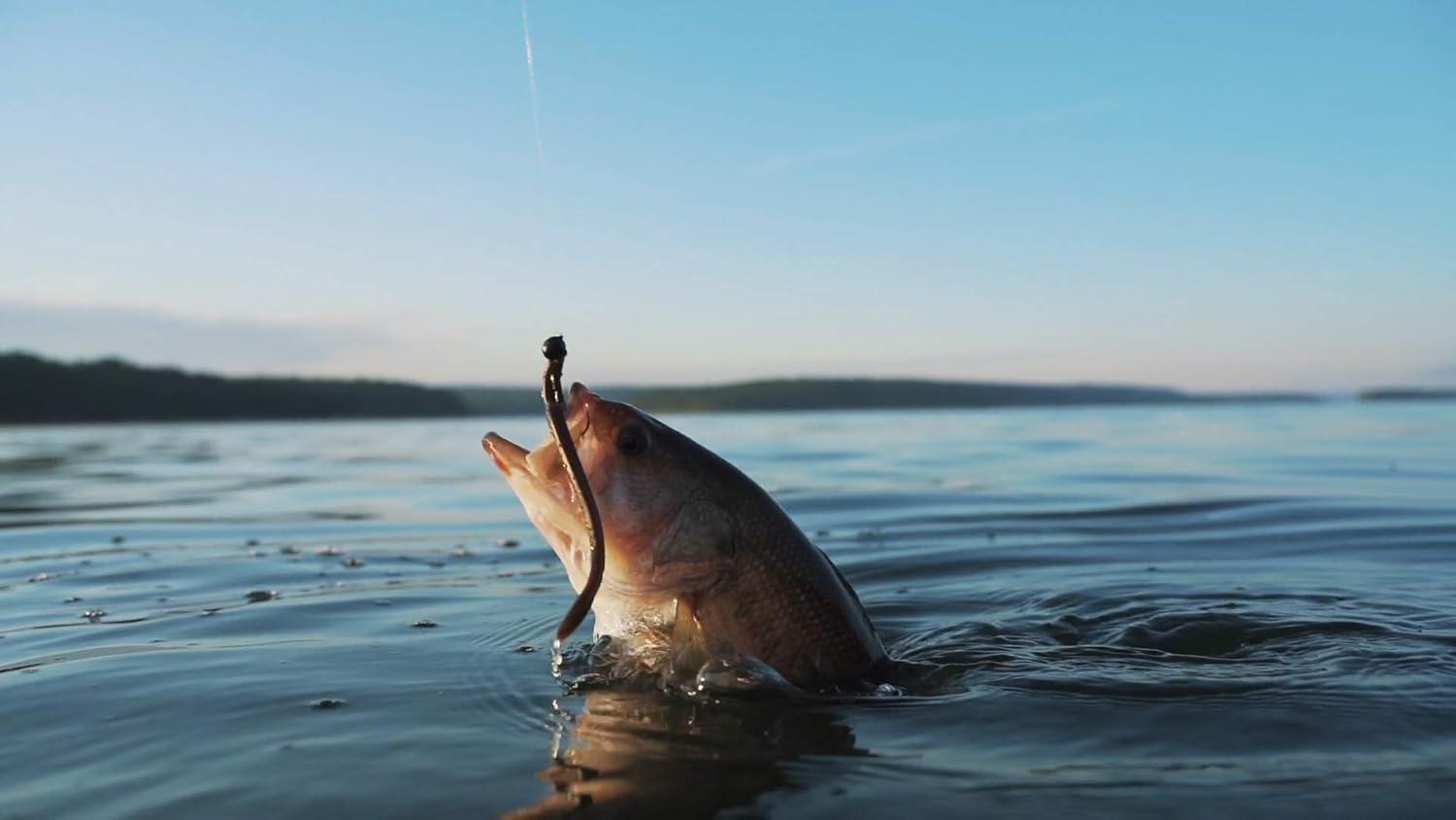 image:imageBerkley PowerBait Bottom Hopper Fishing Soft BaitWatermelon Red