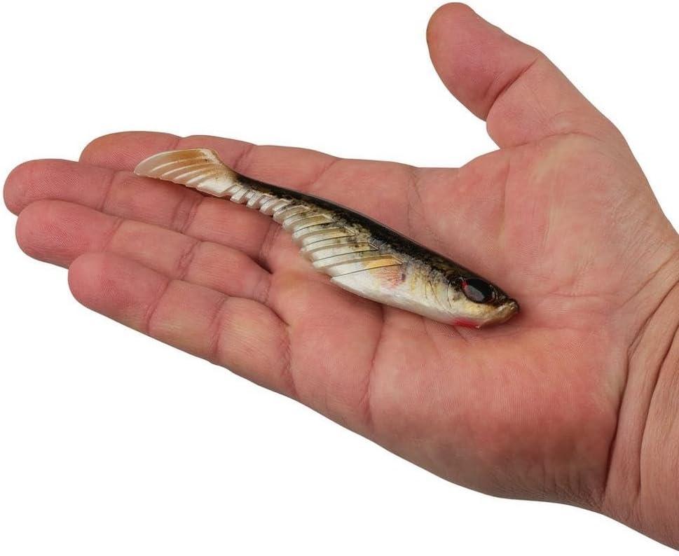 image:imageBerkley PowerBait Ripple Shad Fishing Soft BaitHD Red Belly Goby