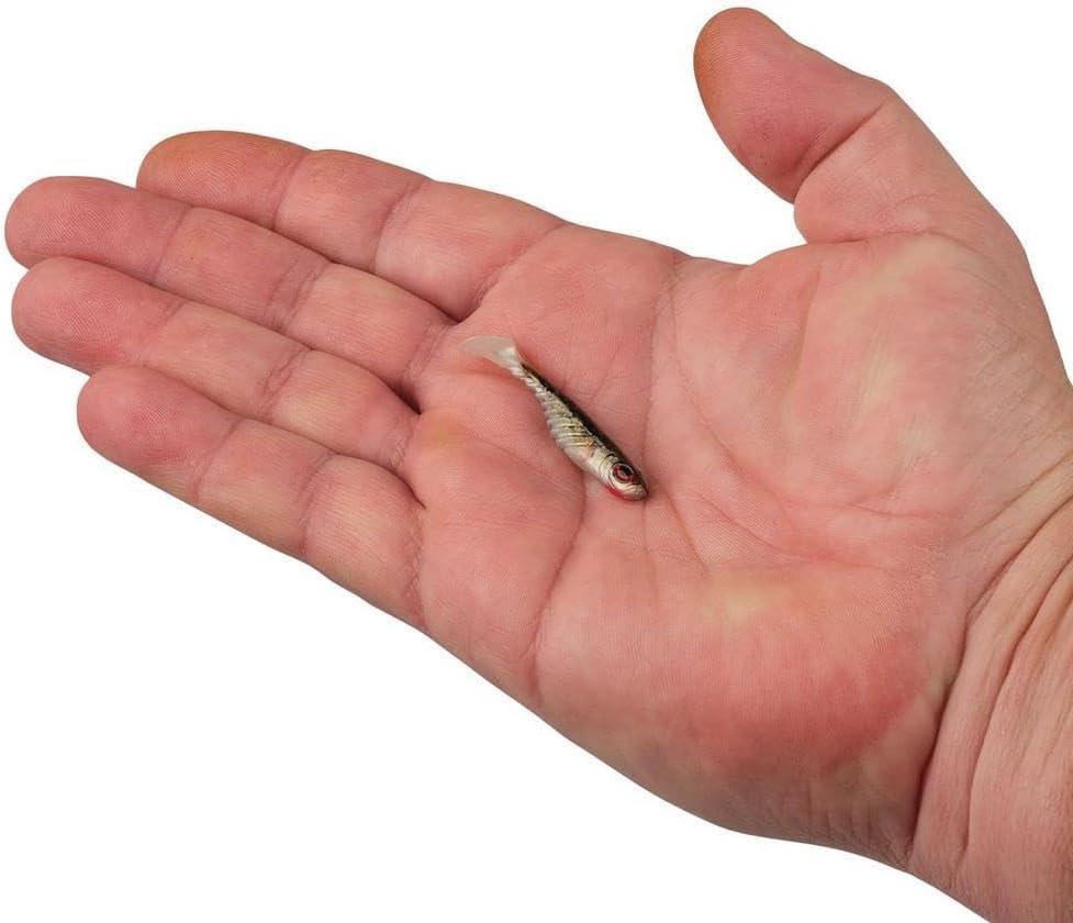 image:imageBerkley PowerBait Ripple Shad Fishing Soft BaitHD Red Belly Goby