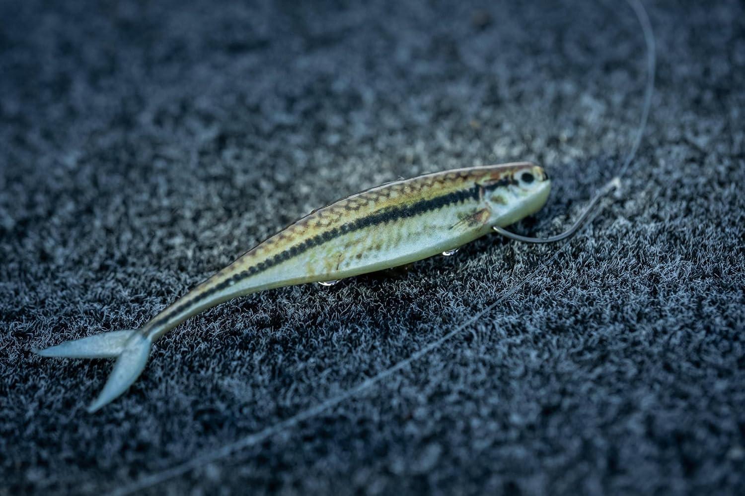 image:imageBerkley PowerBait The Champ Minnow Fishing Soft Bait HD Bluegill 34in