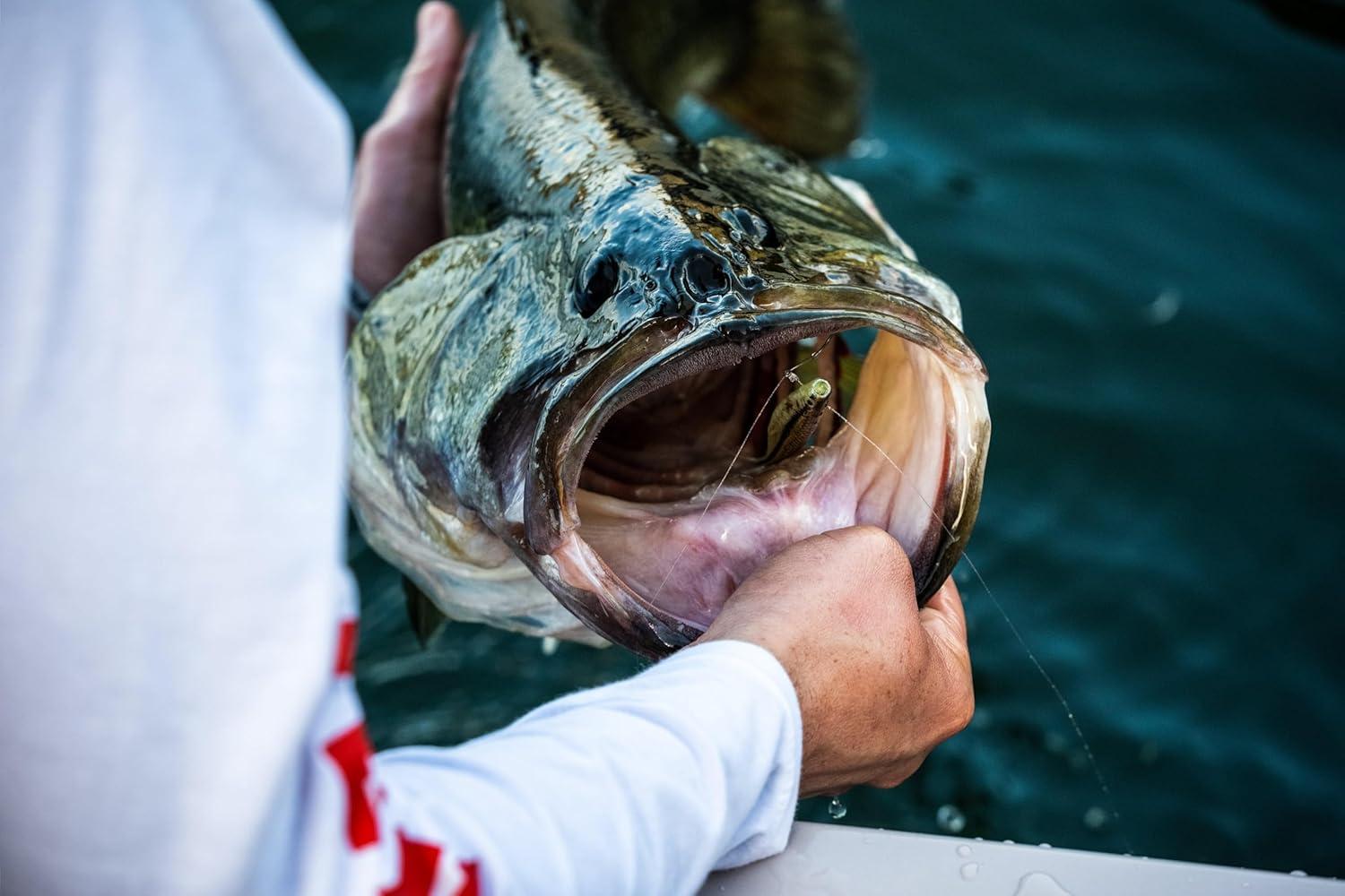 image:imageBerkley PowerBait The Champ Minnow Fishing Soft Bait HD Bluegill 34in