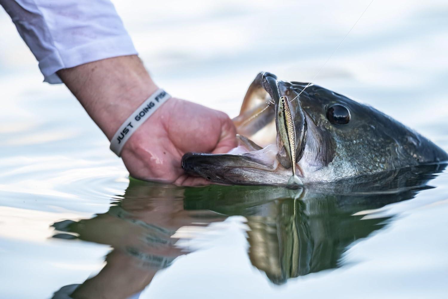 image:imageBerkley PowerBait The Champ Minnow Fishing Soft Bait HD Bluegill 34in