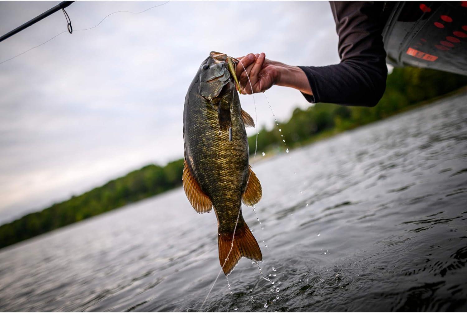 image:imageBerkley Powerbait Pro Twitchtail MinnowSmelt
