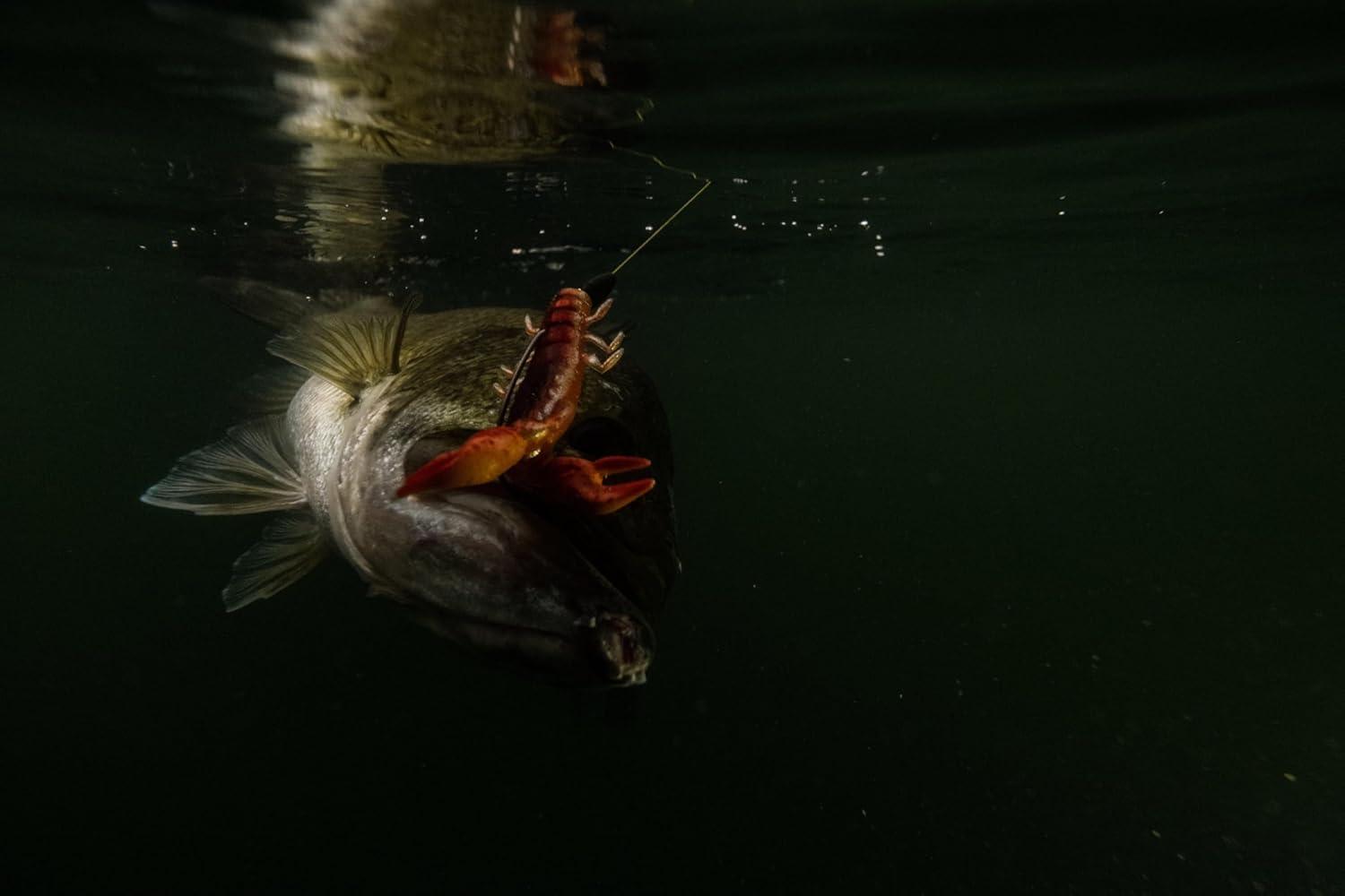 image:imageBerkley The Champ CrawHD Spring Craw