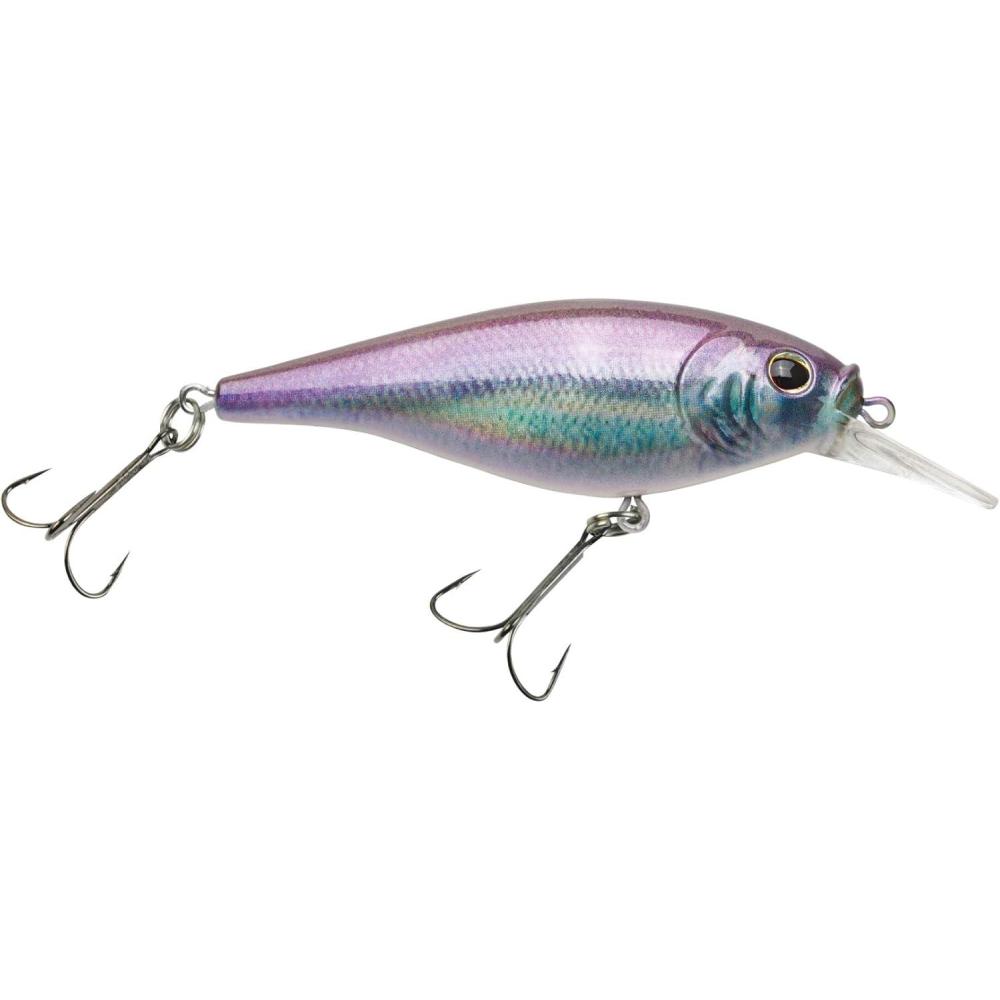 image:imageBerkley FFSHSilver with Blue Back
