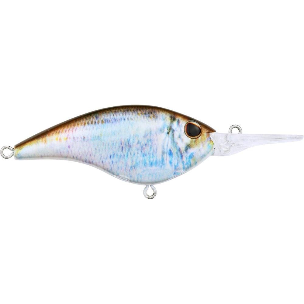 image:imageBerkley Frittside Fishing Hard BaitHD Blueback Herring