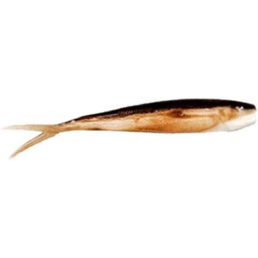 image:imageGulp Baitfish