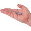 Berkley Berkley PowerBait Rib Worm(Oyster Shell)