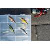 Berkley FFSH(HD Bluegill)
