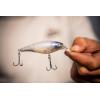 Berkley FFSH(HD Bluegill)