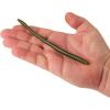 Berkley PowerBait Bottom Hopper Fishing Soft Bait(Green Pumpkin Candy)