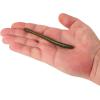 Berkley PowerBait Bottom Hopper Fishing Soft Bait(Green Pumpkin Green)